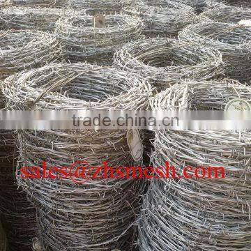 14*14 Electro Galvanized or Hot Dipped Galvanized Barbed Wire