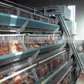 used poultry cage