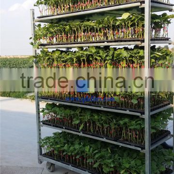 5Danish Flower Trolley Display Cart photo-2