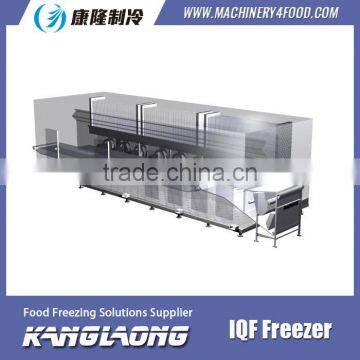 Large Output Frozen Potato Shrimp Freezer With Good Quality photo-4