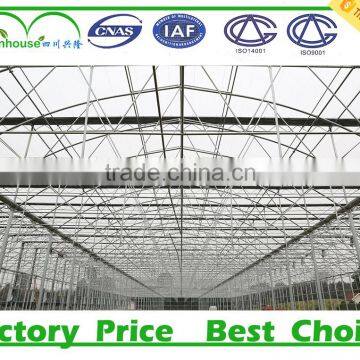 Plastic Agricultural Greenhouses for Sale photo-3