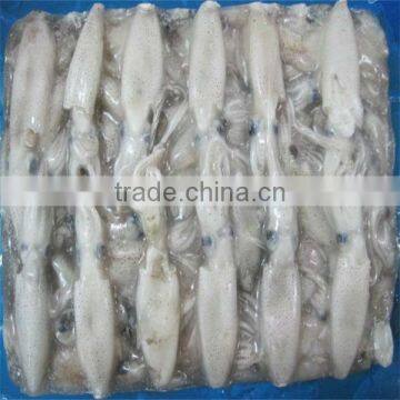 seafood and whole frozen squid