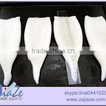 Frozen Squid Tube U5 U7 U10 U20 photo-2