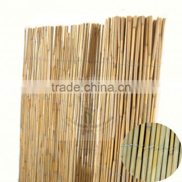 reed screen