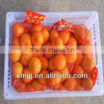 Yongchun Mandarin,Clementine Orange photo-3