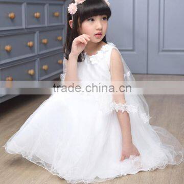 Zm50279b Summer New Style Child Clothes Wholesale Girls Princess Dress photo-4