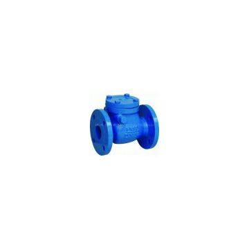 (DIN) Cast Iron Check Valve