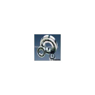 full complement cylindrical roller bearing