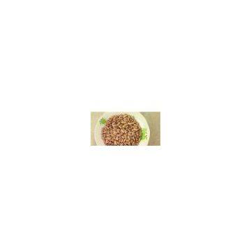 Supply Light speckled kidney beans long shape