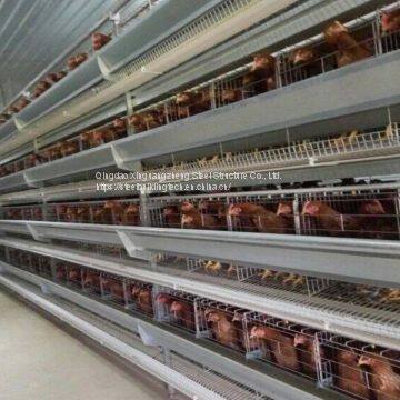 Steel Structure Chicken House Design Chicken House for Sale Cage Layer Chicken House China photo-5