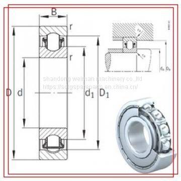 INA Bearing