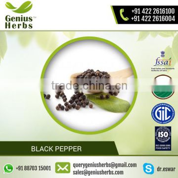 Herbal Based Supply Effective Black Pepper at Affordable Market Cost