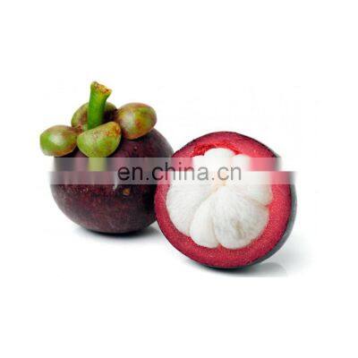 Vietnam Premium Quality WHOLE IQF Carton Common Cultivation Type Frozen Fruits For Dessert Snack Baking