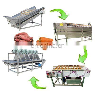 Apple Washing Machine Industry Fruit Washer Machine Automatic Vegetable Ashing Line