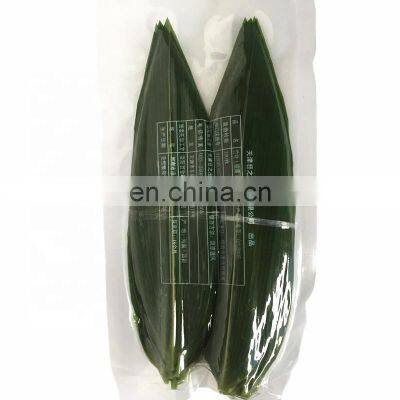 Vacuum Packed Fresh Green Bamboo Sushi Leaves Food Decoration Natural Bamboo Leaf