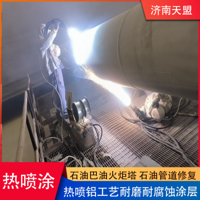 Tianmeng Hot Spray Processing Hot Spray Aluminum Process Wear Resistant and Anti Corrosion Surface Treatment Adjustable Hardness photo-2
