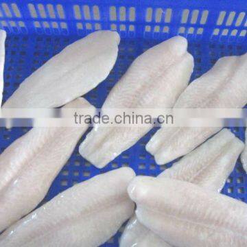 FROZEN PANGASIUS FILLET