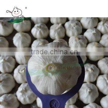 New crop fresh garlic/Wholesale white garlic China origin/China garlic price