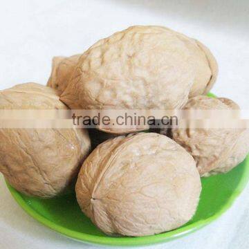 Extract Walnuts for wholesale