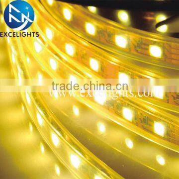 Blue LED Strip Light With SMD 5050/3528/3014/2835/5630