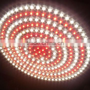 Epistar led light for Supermarket