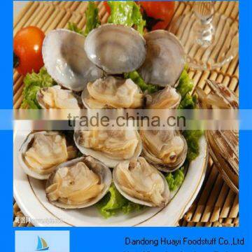 High quality frozen clams