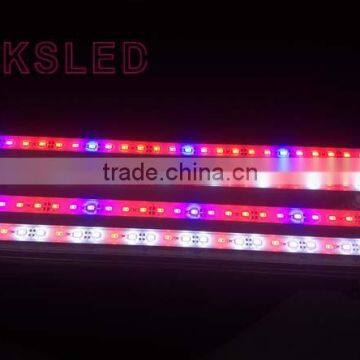 Waterproof Flower Plant,leaf Plant Grow Light Strip Lighting Red:Blue,6:1 8:1 9:1 photo-6