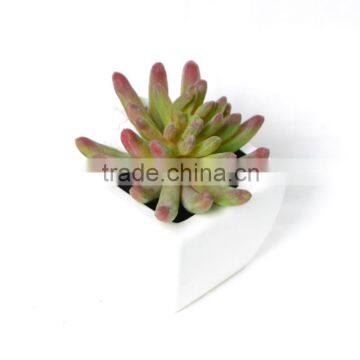 Special Artificial Succulent in mixed color in white pot