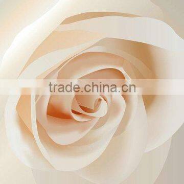 Wall deco canvas printing of white rose