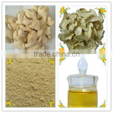 100%Natural Pure Ginger Oil Hot Sale Price From Professional Factory With Kosher Certificate photo-5