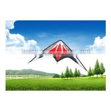 Dual Line Delta Stunt Kites - Curved Edge Kites