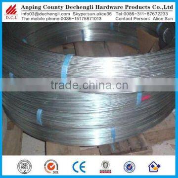 custom Spring wire /oval stainless steel wire