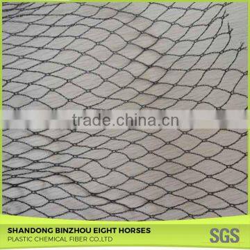 My Test Anti-Hail Nets photo-2