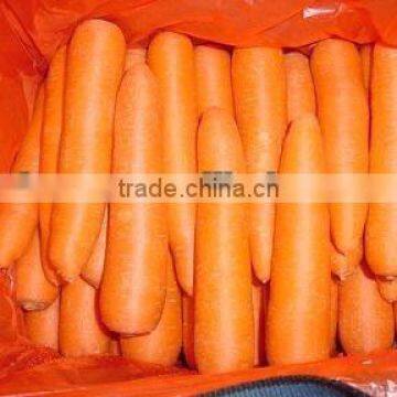 wholesale carrot