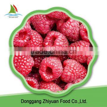 2016 New Crop IQF Frozen Raspberry on Sale photo-4
