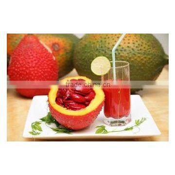 GAC FRUIT FLAVOR for Bakery & ice-cream & Yogurt & sauce and so on