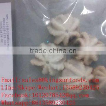 Baby Octopus /Frozen baby octopus with good price