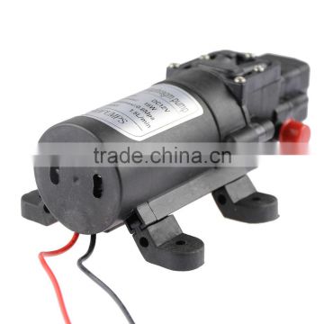 Hot Sale Car Wash Micro Diaphragm High Pressure Water Pump with Automatic Switch