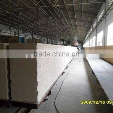 New Design Flyash Aac Production Line in India photo-3