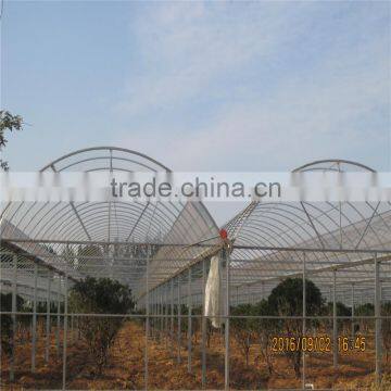 Chosen Greenhouse Project Mushroom Used Commercial Greenhouses photo-6