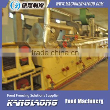 2000Kg/H fruit belt drying machine