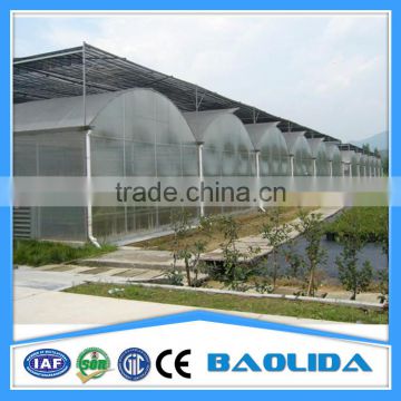 BaoLiDa pc shed greenhouse hot-dip galvanized steel pipe structure for roses