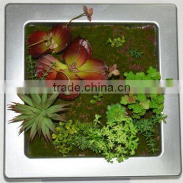 SJ0409028 Mini Artificial Fake Wall/hanging Plant Wall photo-6