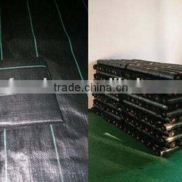 Ground Cover Fabric Grass Weed Control Mat photo-2
