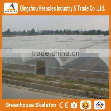 Heracles Trade Assurance Vegetables Multi-span Greenhouse photo-5
