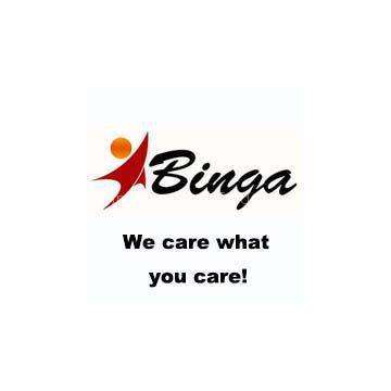 Gaomi Binga International Trade Co.,Ltd