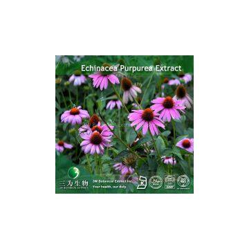 Echinacea Purpurea Extract Polyphenols 4% UV