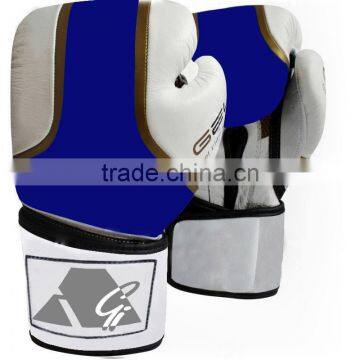 Blue and White Boxing Gloves