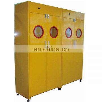 Gas Cylinder Cabinet