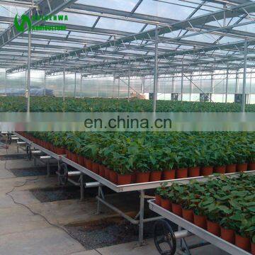 Nursery Equipment Planting Table Greenhouse For Agricultural